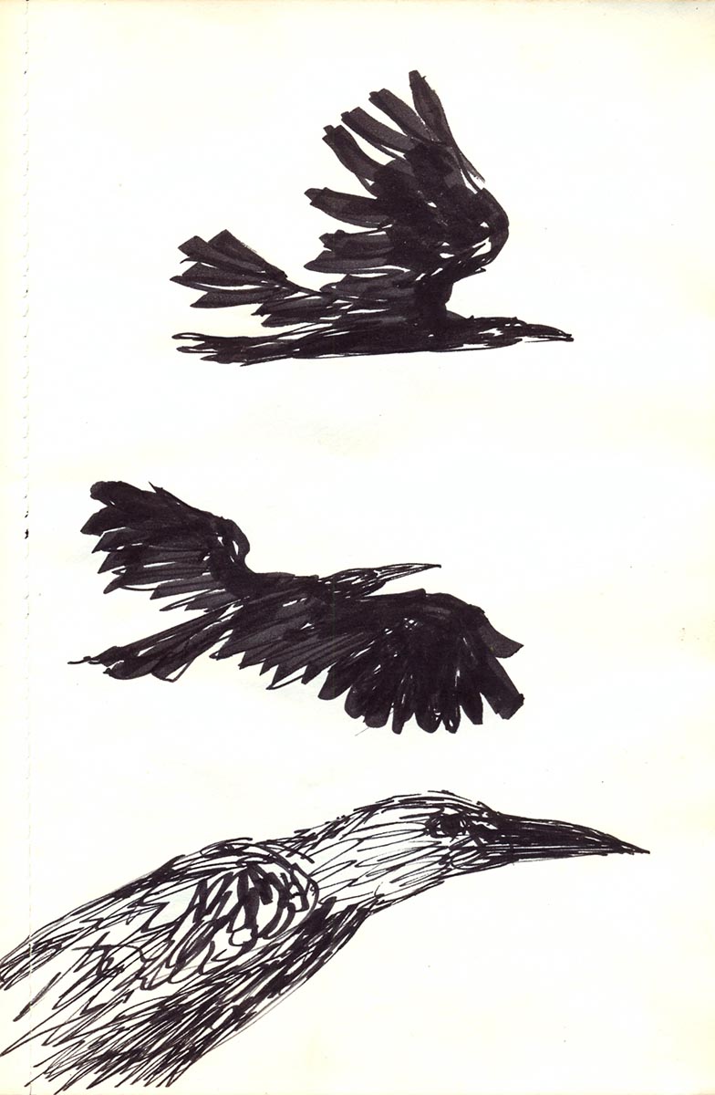 Sketchbook gallery image 6